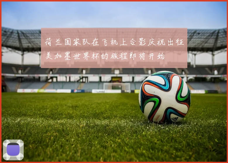 荷兰国家队在飞机上合影庆祝出征美加墨世界杯的旅程即将开始